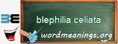 WordMeaning blackboard for blephilia celiata